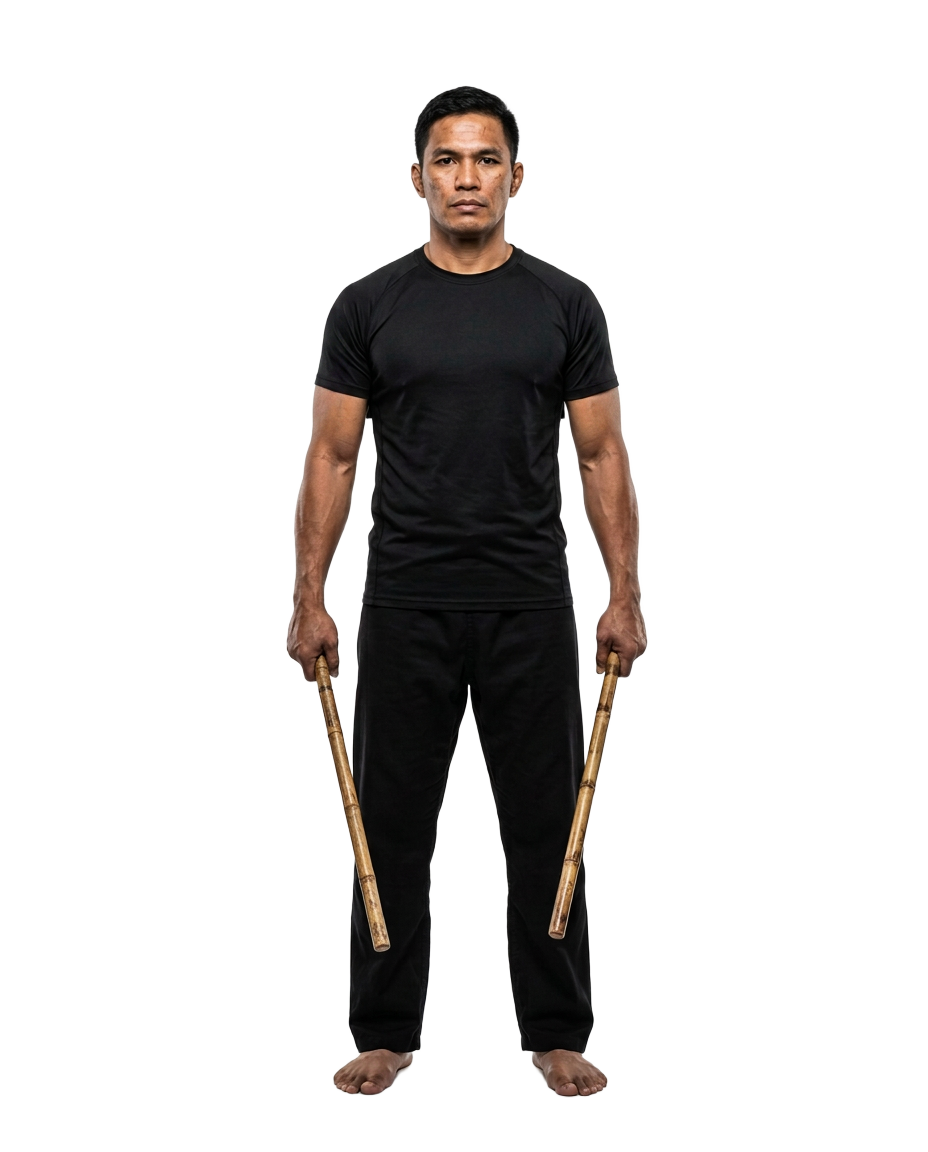 Filipino Martial Arts